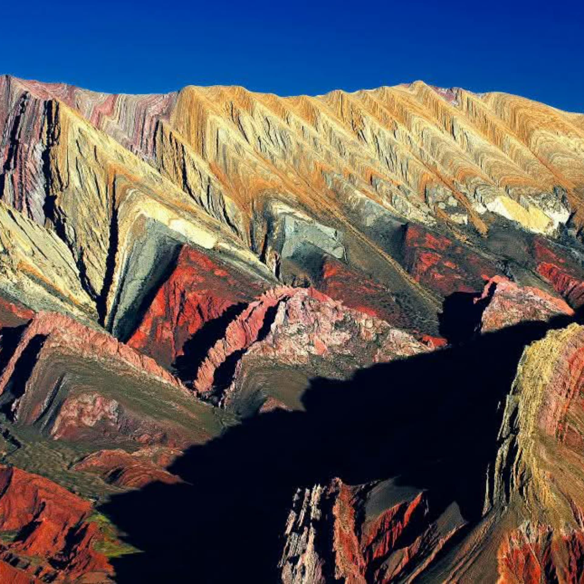 WhatsApp Image 2025-05-04 at 12.47.59